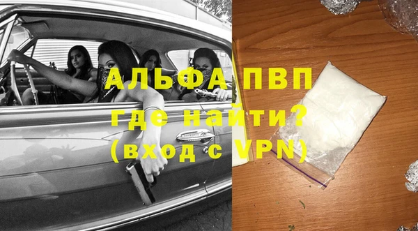 ПСИЛОЦИБИНОВЫЕ ГРИБЫ Бородино