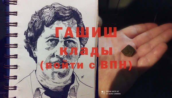 ПСИЛОЦИБИНОВЫЕ ГРИБЫ Бородино